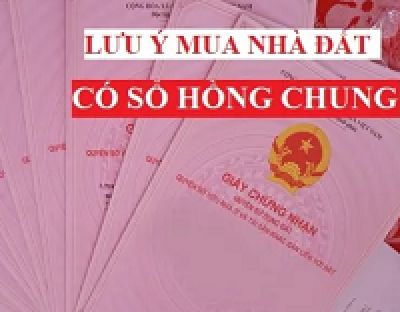 Những lưu ý khi mua bán nhà đất có sổ hồng chung