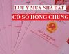 Những lưu &yacute; khi mua b&aacute;n nh&agrave; đất c&oacute; sổ hồng chung