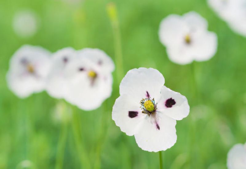 Bốn Điều Cần Ghi Nhớ Để Vượt Qua Những S&oacute;ng Gi&oacute; Trong Cuộc Đời.