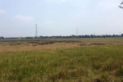 Đất nền Củ Chi tăng gi&aacute; gấp ba trong nửa thập ni&ecirc;n